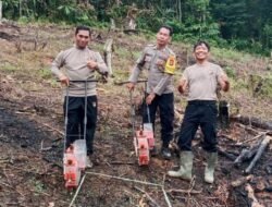 Dukung Swasambada Pangan, Kapolsek Tanah Siang Selatan Bersama Anggota Tanam Jagung Hibrida