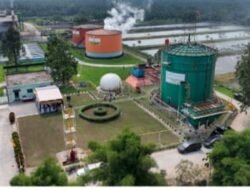 ROA PalmCo Tembus 7,9 Persen, Sinyal Penguatan Kinerja Aset Holding Perkebunan Nusantara