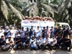 Sejalan dengan Arah Holding Perkebunan Nusantara, PTPN IV Regional III Catat Kinerja Positif Sepanjang 2025