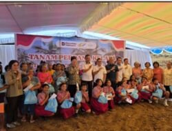 Holding Perkebunan Nusantara PTPN III (Persero) Dorong PTPN I Capai Target 50 Ribu Hektare Kelapa