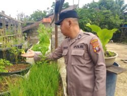 Anggota Polsek Kapuas Tengah telah melaksanakan kegiatann Pengecekan Pemanfaatan lahan Pekarangan Desa Pujon