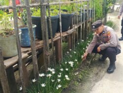 Anggota Polsek Kapuas Tengah telahh melaksanakan kegiatann Pengecekan Pemanfaatan lahan Pekarangan Desa Pujon