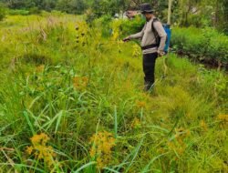 PENGECEKAN LOKASI PEMANFAATAN LAHAN PEKARANGAN DALAM RANGKA IMPLEMENTASI ASTA CITA PRESIDEN REPUBLIK INDONESIA DALAM BIDANG KETAHANAN PANGAN BHABINKAMTIBMAS POLSEK KAPUAS TIMUR