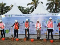 Pemerintah Perkuat Swasembada Protein, Holding Perkebunan Nusantara Dukung Hilirisasi Ayam Terintegrasi Melalui Penyediaan Aset Lahan