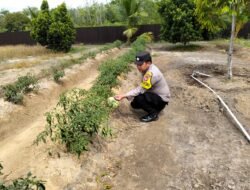 Anggota Polsek Kapuas Tengah telah melaksanakan kegiatann Pengecekan Pemanfaatan lahan Pekarangan Desa Pujon