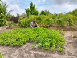 Polsek Kapuas Tengah laksanakan giat Pengecekan Pekarangan lahan kebun Desa pujon