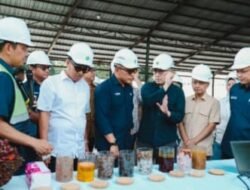 Di Bawah Holding Perkebunan Nusantara, Transformasi PalmCo Dinilai Jadi Fondasi Kemandirian Pangan dan Energi