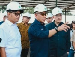 Di Bawah Holding Perkebunan Nusantara, PalmCo Optimistis Jadi World Best Company