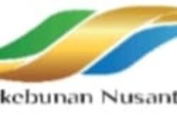 Lewat PalmCo, Holding Perkebunan Nusantara Wujudkan Social Sustainability di Industri Sawit