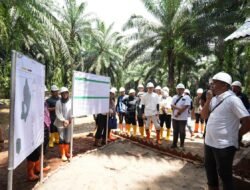 Sinergi Kampus dan Industri: Mahasiswa IPB Pelajari Tata Kelola Sawit PTPN IV Palmco