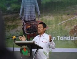Aspekpir Apresiasi Pola Single Management PalmCo, Subholding Holding Perkebunan Nusantara