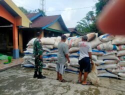Babinsa Koramil 03/Tebas Dampingi Pendistribusian Pupuk kepada Petani