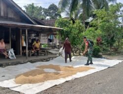 Babinsa Koramil 1002-01/BAS Hadir di Tengah Petani Desa Labuhan
