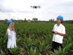 Holding Perkebunan Nusantara Percepat Transformasi Digital, PalmCo Sertifikasi Operator Drone Perkuat Sistem Pemantauan Kebun