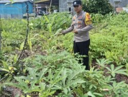 Polsek Kapuas Tengah laksanakan giat Pengecekan Pekarangan lahan kebun Desa Jangkang