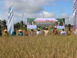 Syukuran Panen Padi Desa Sungai Pasir