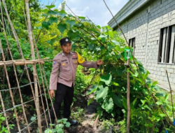 Polsek Kapuas Tengah laksanakan giat Pengecekan Pekarangan lahan kebun Desa pujon