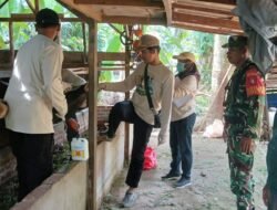 Sukseskan Program Kesehatan Hewan Ternak, Babinsa Kodim 1009/Tla Dampingi Tim Kesehatan Hewan Tala