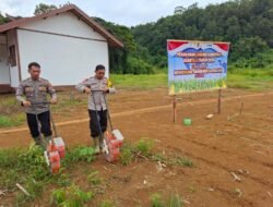 Kapolsek Tanah Siang Selatan Bersama Anggota Tanam Jagung Hibrida Di Desa Olung Hanangan
