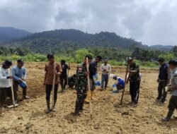 Dukung Swasembada Pangan, Babinsa Koramil 02/Sejangkung Dampingi Poktan Sungai Bening Tanam Benih Padi Lansung di Lokasi CSR