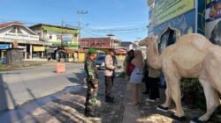 Bersinergi Dengan Polres Tala Personel Kodim 1009/Tla Siaga Di Pos Pelayanan Desa Bentok