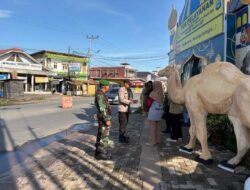 Bersinergi Dengan Polres Tala Personel Kodim 1009/Tla Siaga Di Pos Pelayanan Desa Bentok