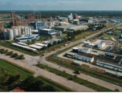 Holding Perkebunan Nusantara Percepat Hilirisasi Sawit, PalmCo Siap Groundbreaking Fasilitas Baru Pasca Lebaran