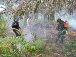 Cegah Kebakaran Meluas, Anggota Koramil 1208-06/Selakau Turun Padamkan Api