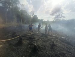 Aksi Cepat Babinsa dan Tim Gabungan Padamkan Kebakaran Lahan 1,5 Hektare di Kelua