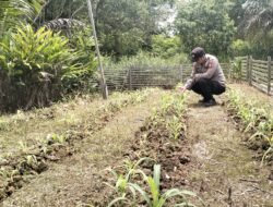 Personil Polsek Marikit Cek Lokasi Pemanfaatan Pekarangan Warga di Kec. Marikit, Kab. Katingan.