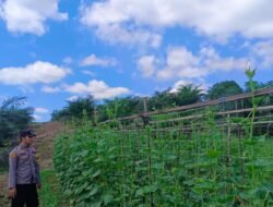 BHABINKAMTIBMAS SUKAMANDANG CEK PEKARANGAN PANGAN BERGIZI, DUKUNG KETAHANAN PANGAN