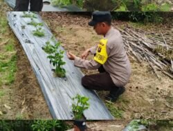 Polsek Kapuas Tengah laksanakan giat Pengecekan Pekarangan lahan kebun Desa Pujon
