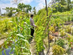 Polsek Kapuas Tengah laksanakan giat Pengecekan Pekarangan lahan kebun Desa Pujon