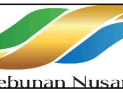 Holding Perkebunan Nusantara Dukung Ketahanan Pangan, PTPN I Masuk Bisnis Singkong dan Jagung