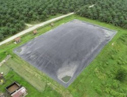 Dua PLTBg Ini Jadi Andalan PalmCo Tekan Biaya Energi di Tengah Gejolak Global