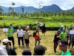 Dari Pangalengan, Holding Perkebunan Nusantara Perkuat Konservasi Lingkungan melalui PTPN I