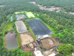 Hadapi Gejolak Energi Global, Holding Perkebunan Nusantara Andalkan PLTBg PalmCo