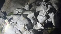 TNI AL Gagalkan Penyelundupan Material Strategis, KRI Karotang-872 Jajaran Kodaerala XII Perkuat Pengamanan Laut