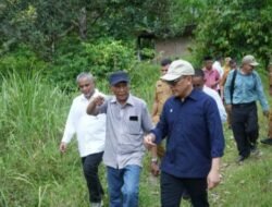 Didorong Kementan, Holding Perkebunan Nusantara Percepat Hilirisasi Gambir Nasional