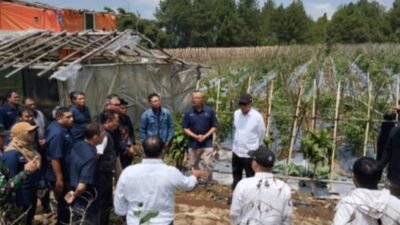 Holding Perkebunan Nusantara melalui PTPN I Gandeng Jinxiang Corp Kembangkan Budi Daya Bawang di Jawa Barat