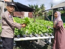 Dukung Ketahanan Pangan, Bhabinkamtibmas Karang Mulya Sambangi Petani Hidroponik