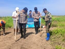 KAPOLSEK HANAU DUKUNG KETAHANAN PANGAN, TANAM JAGUNG TUMPANG SARI DI LAHAN PT. TAPIAN NADENGAN