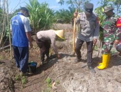 Wujud Nyata Dukung Program Ketahanan Pangan, Polsek Pulau Hanaut Bersama Poktan Tanam Jagung Kuartal II Tahun 2026.