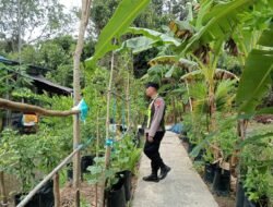 Optimalkan Lahan, Polsek Kapuas Barat Monitoring Budidaya Terong hingga Pepaya di Mandomai