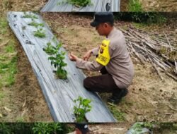 Polsek Kapuas Tengah laksanakan giat Pengecekan Pekarangan lahan kebun Desa Pujon