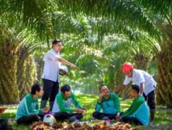 PalmCo Serap 70 Ribu Tenaga Kerja, Holding Perkebunan Nusantara Buka Peluang Kerja Baru dari Hilirisasi Sawit