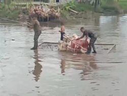 Pengecoran Tepi Dekat Tuntas, Personel Kodim 1009/Tanah Laut Kebut Droping Material ke Tepi Jauh