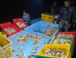 TNI AL Kodaeral XII Gerak Cepat Gagalkan Praktik Bom Ikan di Perairan Kalbar, Satu Kapal Diamankan