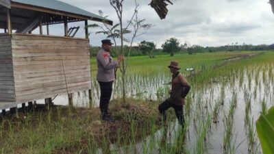 Giat Monitoring Dan Pendampingan Pemanfaatan Lahan Pekerangan Dalam Rangka Implementasi Asta Cita Presiden Republik Indonesia Dalam Bidang Ketahanan Pangan Oleh Polsek kapuas Hilir Polres Kapuas