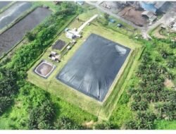 Holding Perkebunan Nusantara Perkuat Transisi Energi Bersih melalui Perdagangan Karbon PTPN IV PalmCo